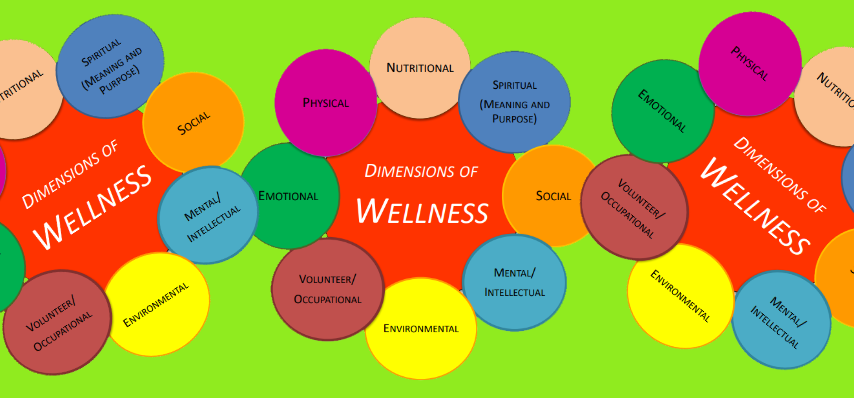 What Is Wellness