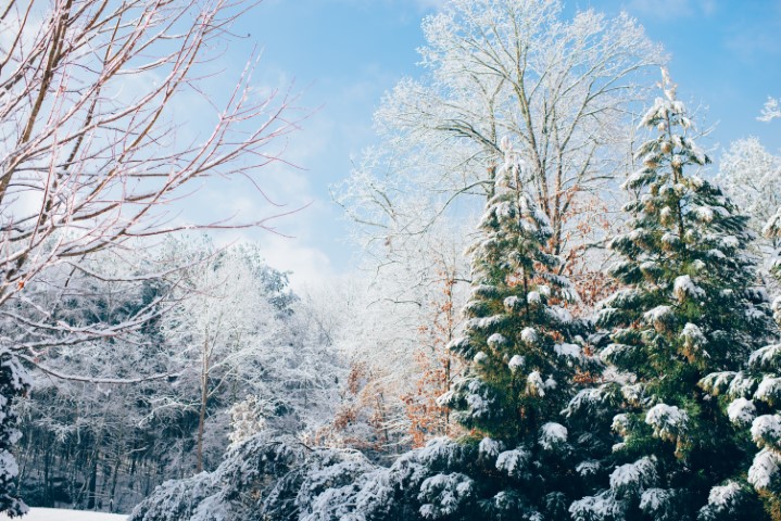 Wellness – December 2021 Challenge
