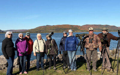 Quacks, Calls, & Lessons In Nature