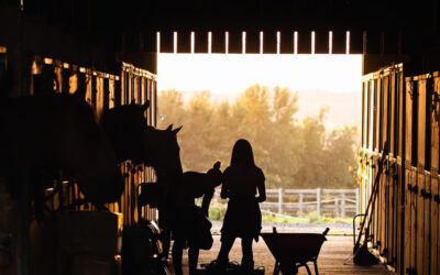 From Silent Night to Barnyard Delight!