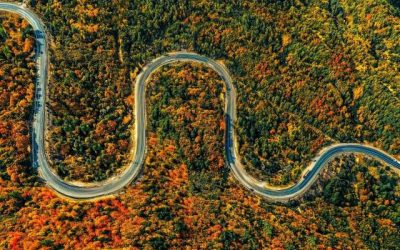 ARE THERE CURVES IN YOUR ROAD OF LIFE?
