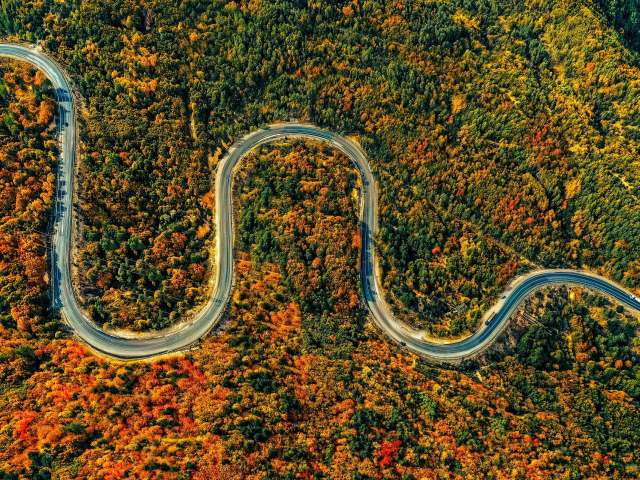 ARE THERE CURVES IN YOUR ROAD OF LIFE?