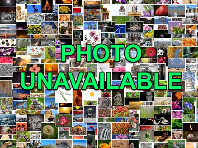 Photo Unavailable